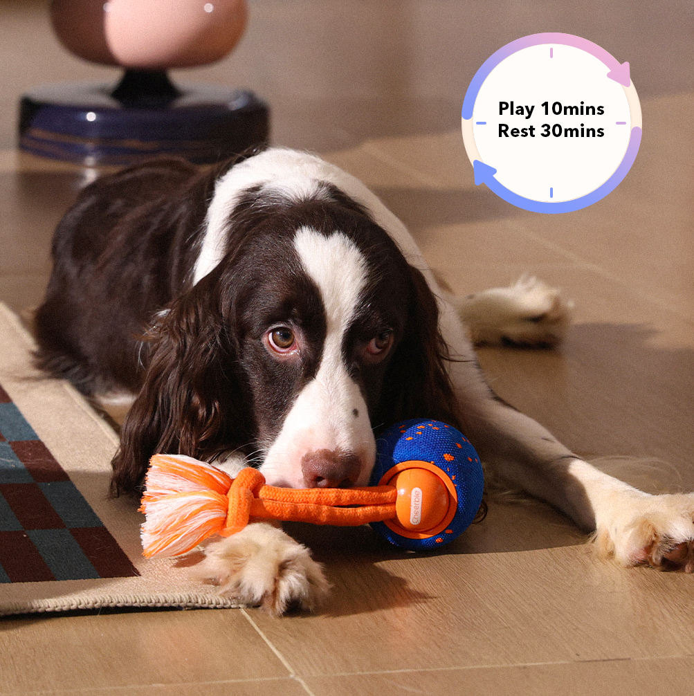 Zelpawx Smart Interactive Wicked Ball - Automatic Bouncing Pet Toy